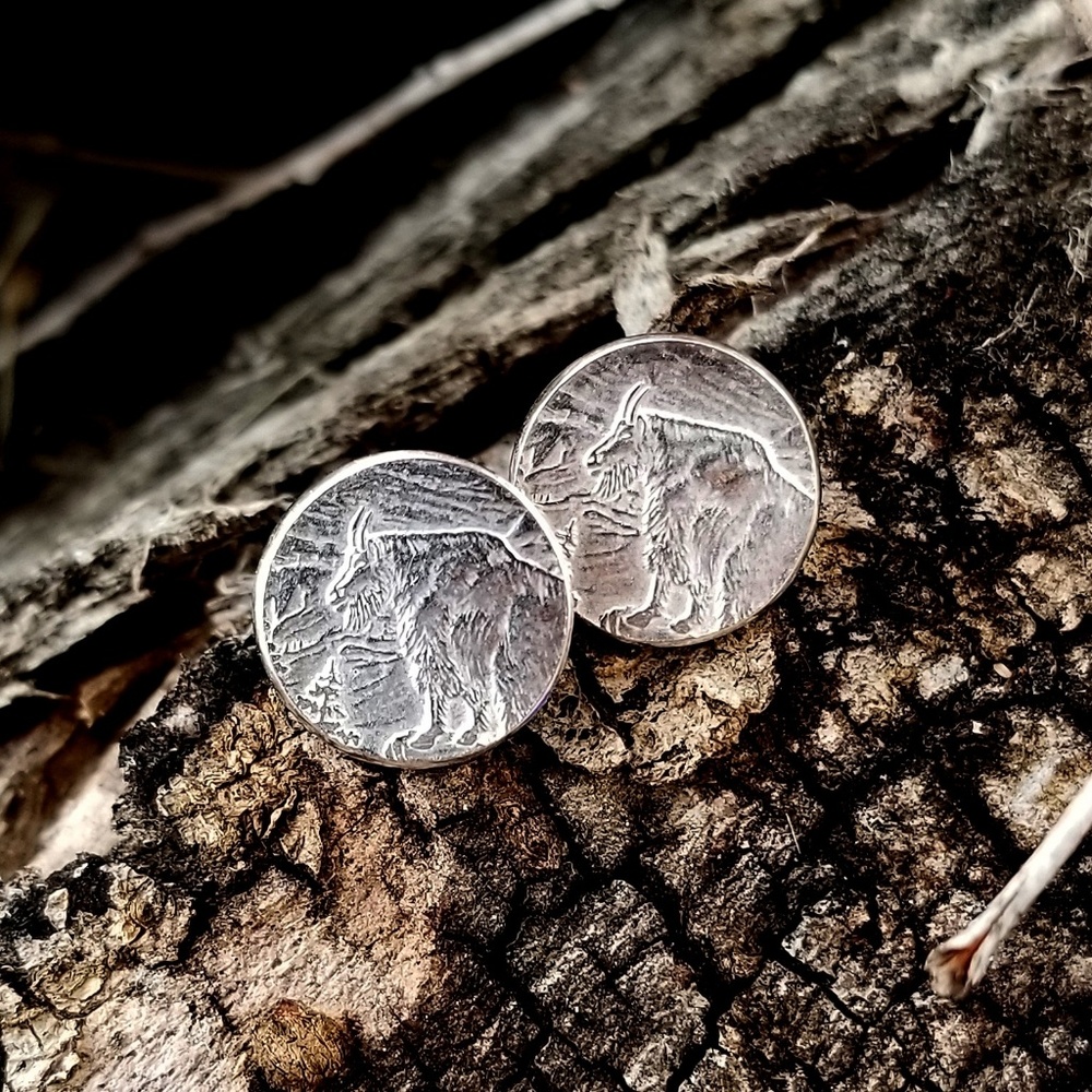 Glacier National Park Quarter Stud Earrings